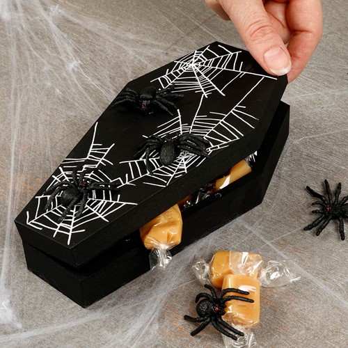 CC Houten Doodskist met Magnetisch Slot 18x10x4 cm-2