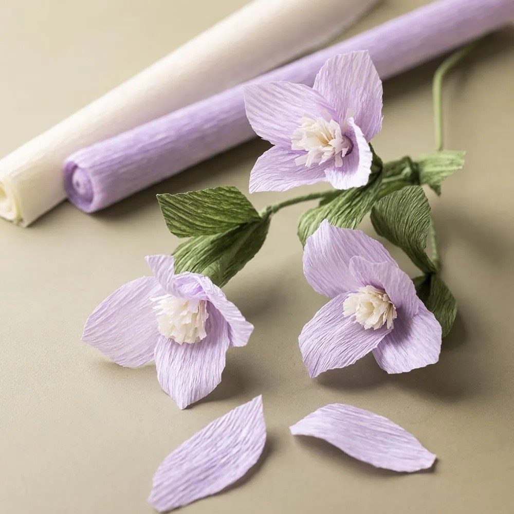 Clematis van crêpepapier