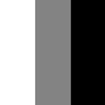 Zwart Wit